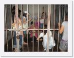 img_0822 * 640 x 480 * (121KB)
